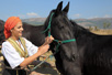 A girl and Nonius horse, vicinity of Dimitrovgrad (Photo: D. Bosnić)